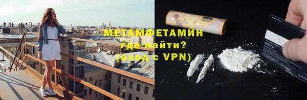 индика Богородск