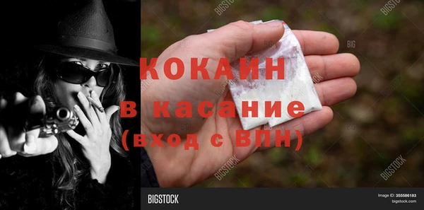 индика Богородск