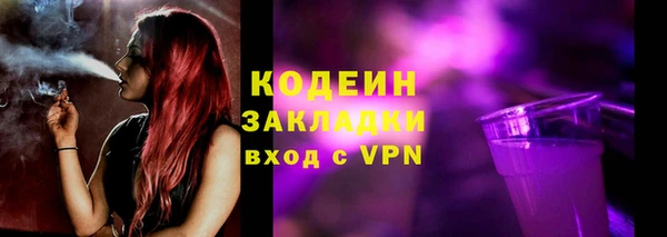 индика Богородск