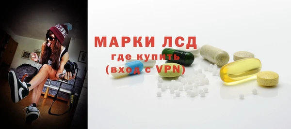 индика Богородск