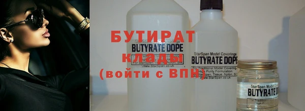 индика Богородск