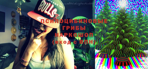 индика Богородск