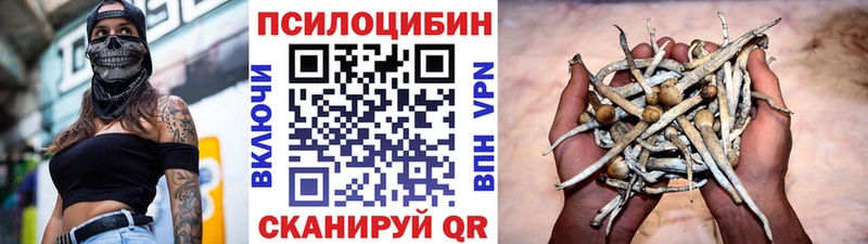 Галлюциногенные грибы Psilocybine cubensis  закладка  Верхняя Тура 